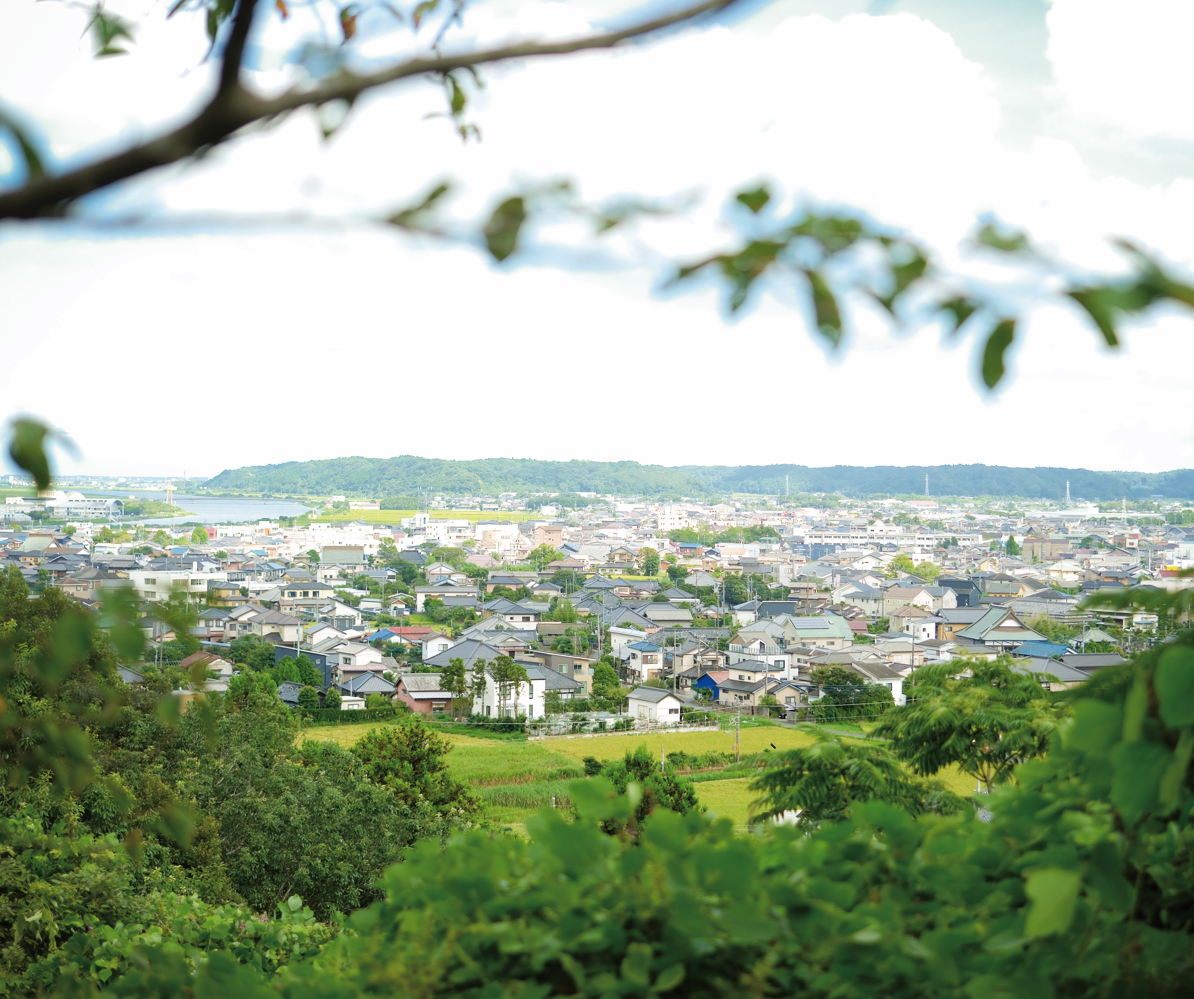 小見川市街地遠景